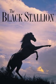 Watch The Black Stallion