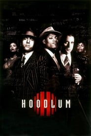 Watch Hoodlum
