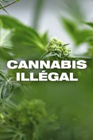 Watch Cannabis illégal