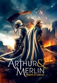 Watch Arthur & Merlin: Knights of Camelot