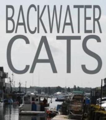 Backwater Cats