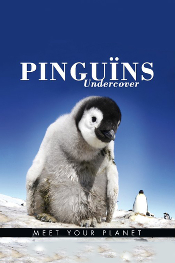 BBC Earth - Pinguins Undercover