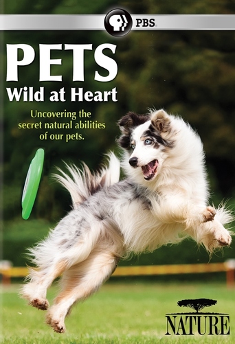 Pets: Wild at Heart Episode 1