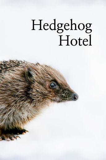 The Hedgehog Hotel