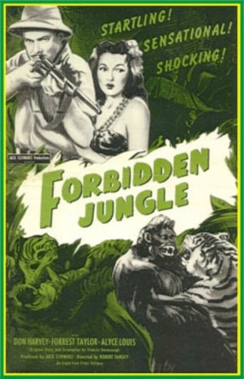 Watch Forbidden Jungle