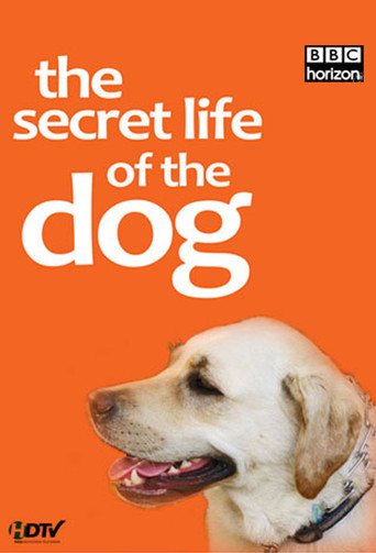 The Secret Life Of The Dog
