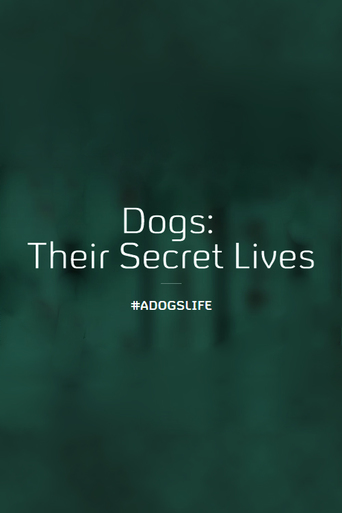 Watch Dogs: Their Secret Lives