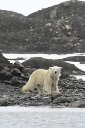 Watch Expedition Svalbard: Part 1 - Hornsund to Bear Island
