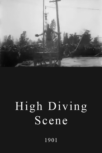 High Diving Scene