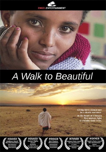 Watch A Walk to Beautiful