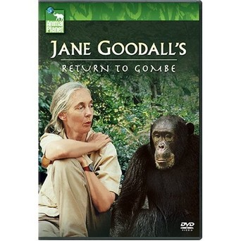 Jane Goodall's Return to Gombe