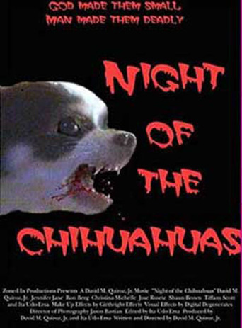 Night of the Chihuahuas