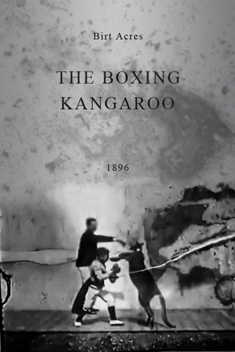Watch The Boxing Kangaroo