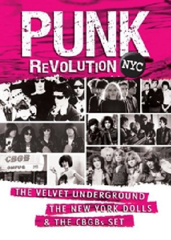Watch Punk Revolution NYC