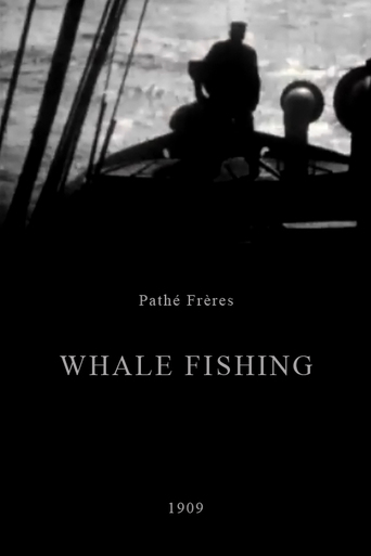 Watch Whale Fishing