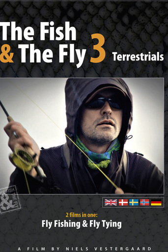 The Fish & The Fly 3: Terrestrials