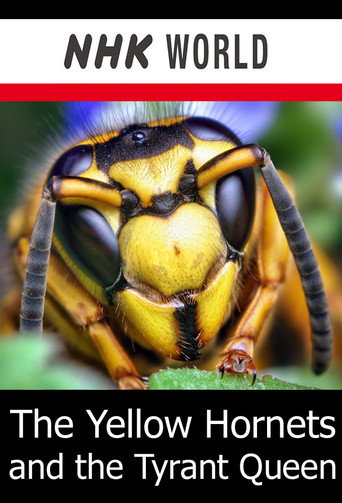 The Yellow Hornets and the Tyrant Queen