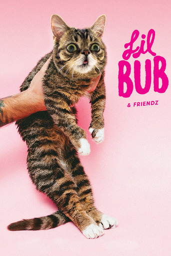 Watch Lil Bub & Friendz