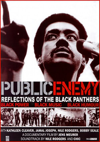 Watch Public Enemy: Reflections of The Black Panthers