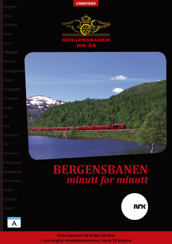 Bergensbanen Minute By Minute