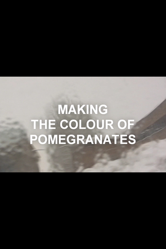 The World Is a Window: Making The Colour of Pomegranates