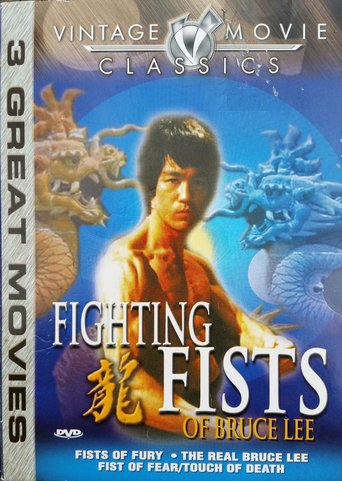 Fighting Fists of Bruce Lee