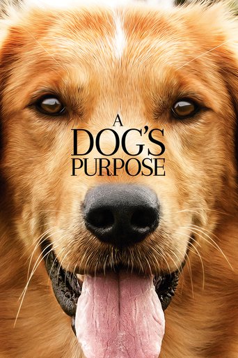 Watch A Dog's Purpose
