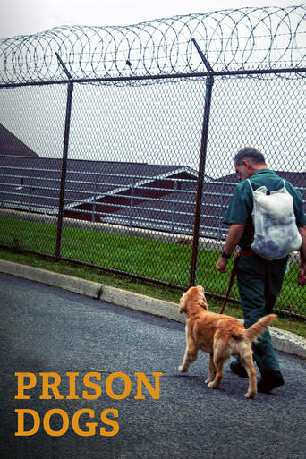 Watch Prison Dogs