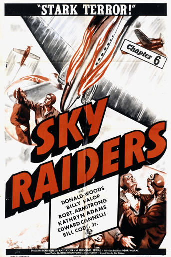 Watch Sky Raiders