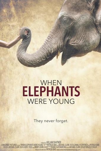 Watch When Elephants Were Young