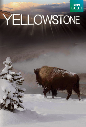 Watch Yellowstone