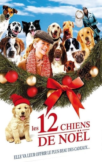 12 chiens pour Noël