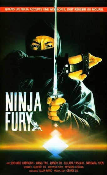 Ninja Fury