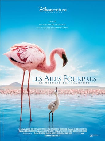 Les Ailes pourpres : Le Mystère des flamants