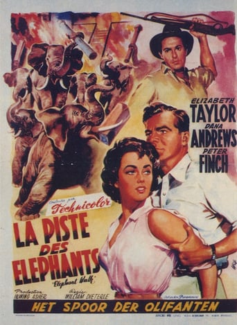 La piste des éléphants