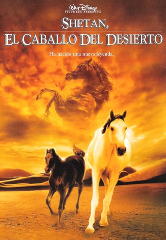 Shetan, el caballo del desierto