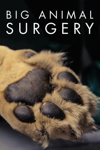 Big Animal Surgery