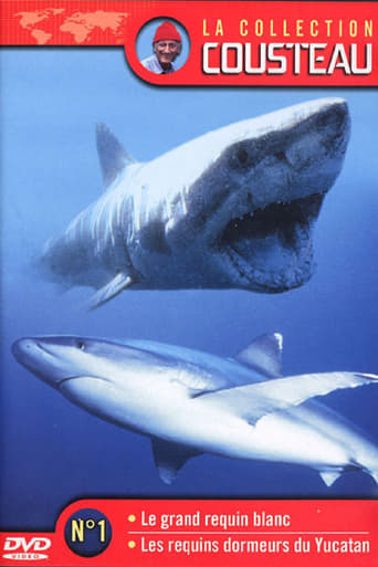 La collection Cousteau N°1-1 - Le grand requin blanc, seigneur solitaire des mers