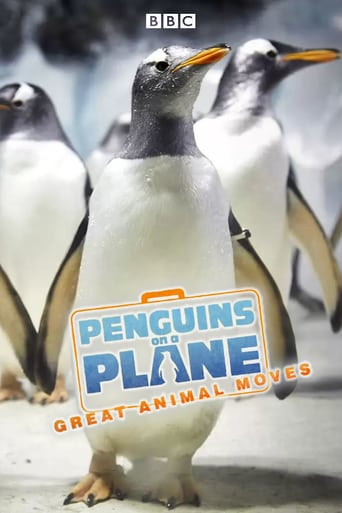 Watch Penguins on a Plane: Great Animal Moves