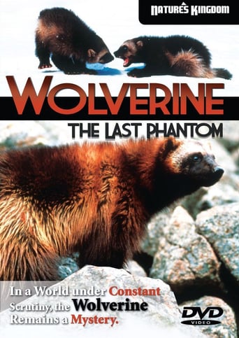 Wolverine: The Last Phantom