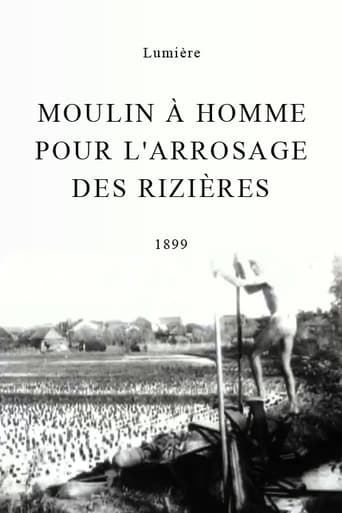 Moulin à homme pour l'arrosage des rizières