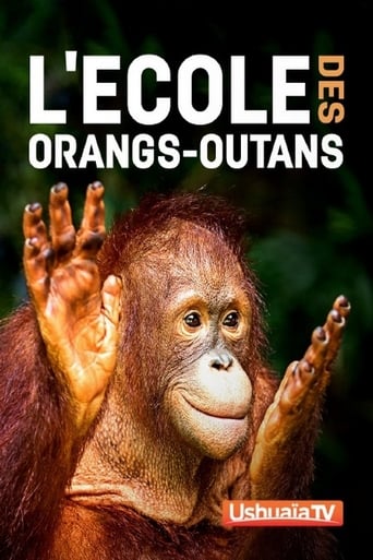 L'ecole des orangs-outans