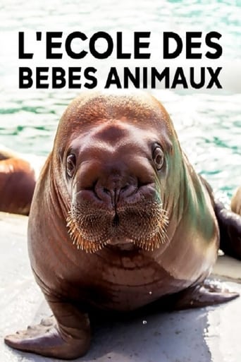 L'école des bébés animaux