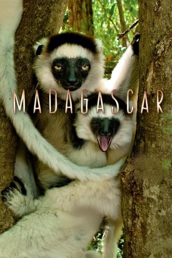 Madagascar - La série