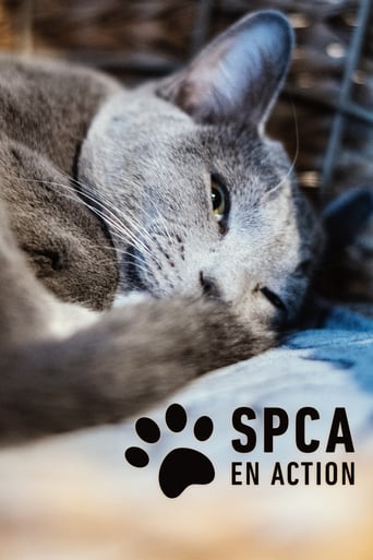 Watch SPCA en action