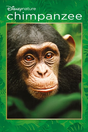 Watch Chimpanzee