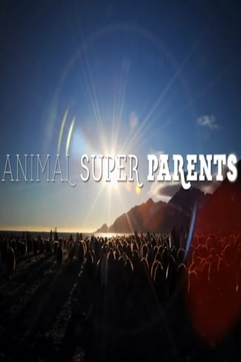 Watch Animal Super Parents