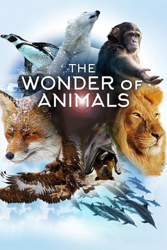 Watch The Wonder of Animals