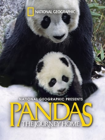 Watch Pandas: The Journey Home