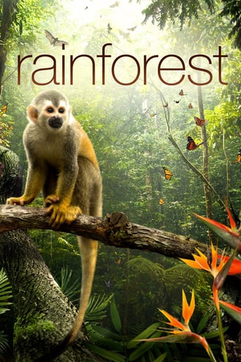 Watch Secret Life of the Rainforest